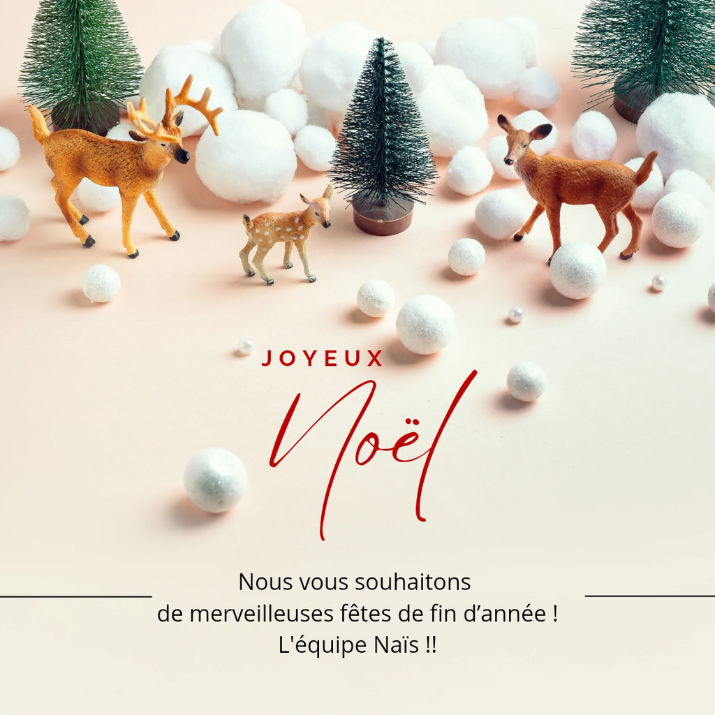 Joyeux Noël !!