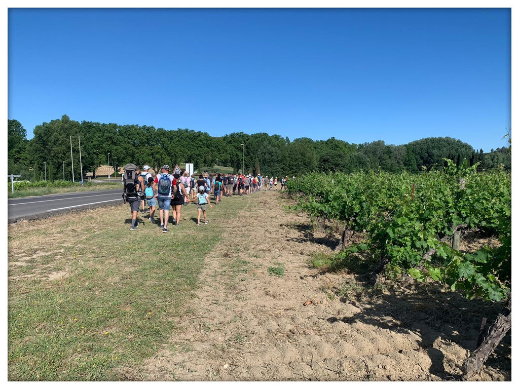 Le Pique-nique vignerons !!