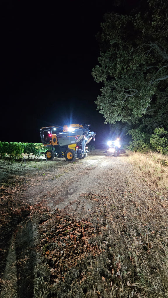 Top départ pour les vendanges 2025 !!