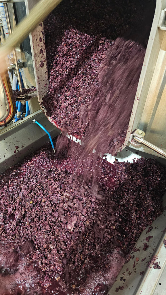 Le décuvage du rouge