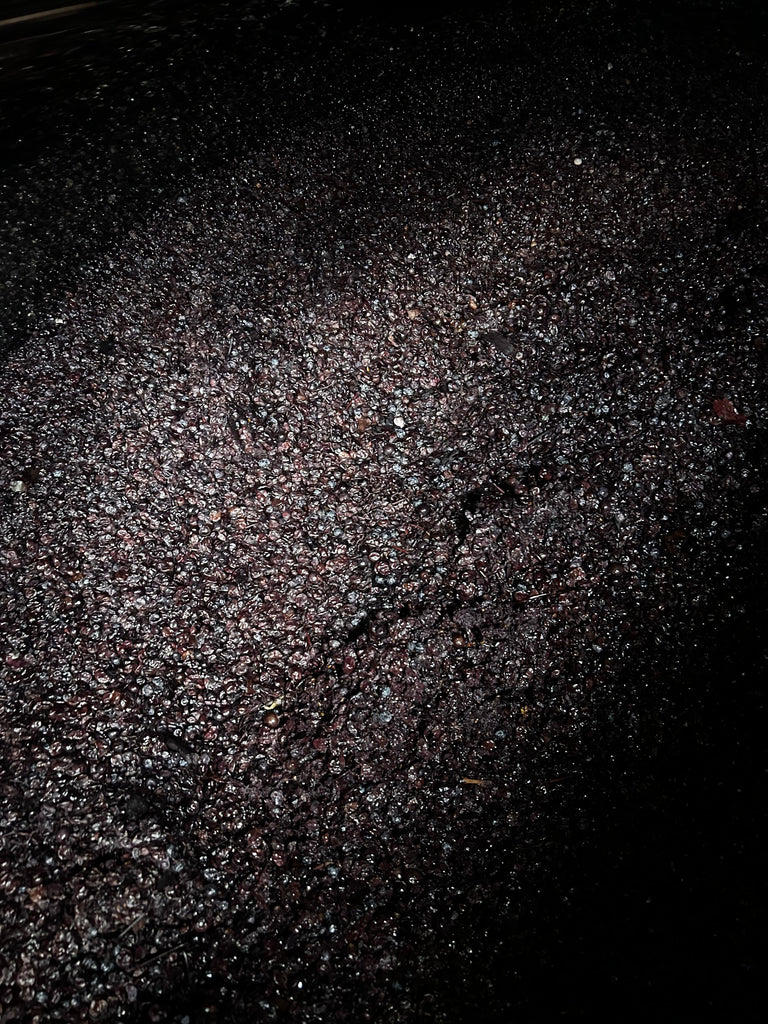 Dernier décuvage !!