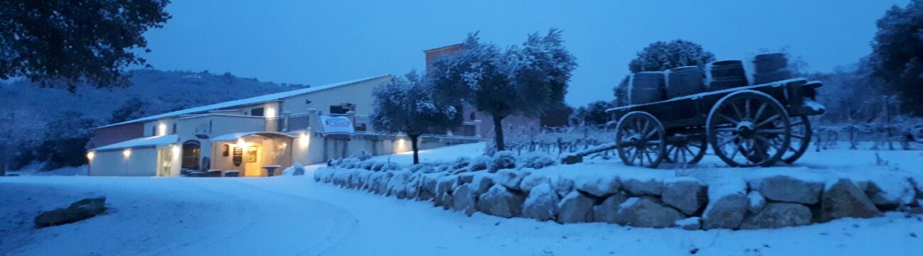 Le 02/12/2017 la neige est arrivée !!!