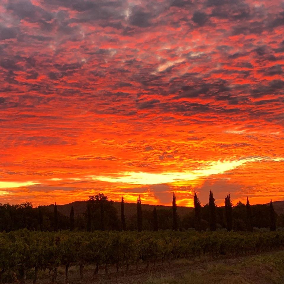 Encore un magnifique lever de soleil sur notre jolie Provence!