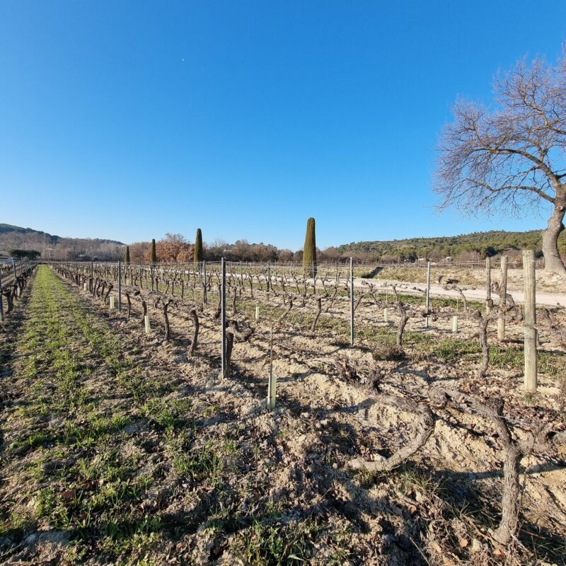 Samedi Et Dimanche nous serons présents sur le salon vins et gastronomie à Niort. Nous vous attendons avec impatience. Parc des expositions de 9h à 19h