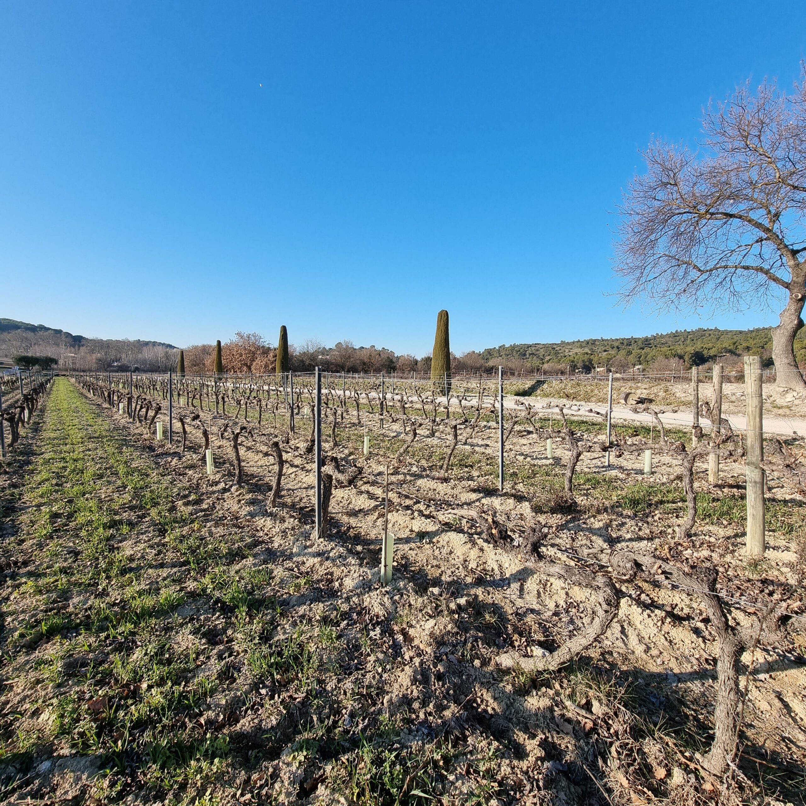 Samedi Et Dimanche nous serons présents sur le salon vins et gastronomie à Niort. Nous vous attendons avec impatience. Parc des expositions de 9h à 19h
