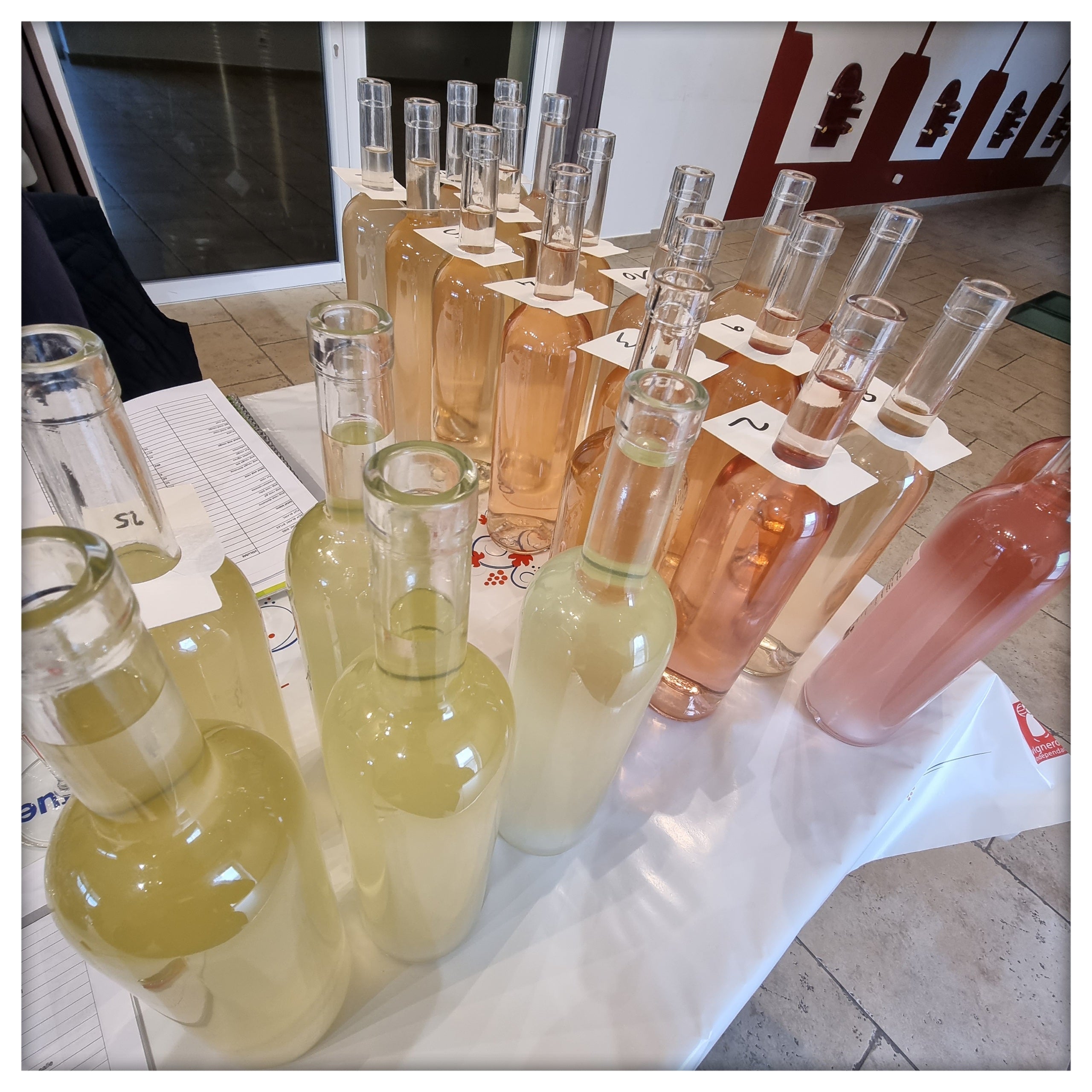 Assemblages 2022 c'est parti !! Rosé et blanc !! #blancdeprovence #rosedeprovence #vinsaixenprovence #assemblage2022