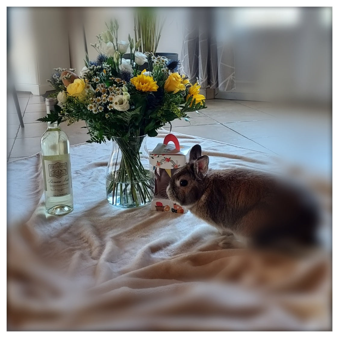 Joyeuses pâques à tous !! Le caveau est fermé aujourd'hui et demain. On re ouvre mardi à 9h. Bon week-end. Vin disponibles sur domainenais.fr