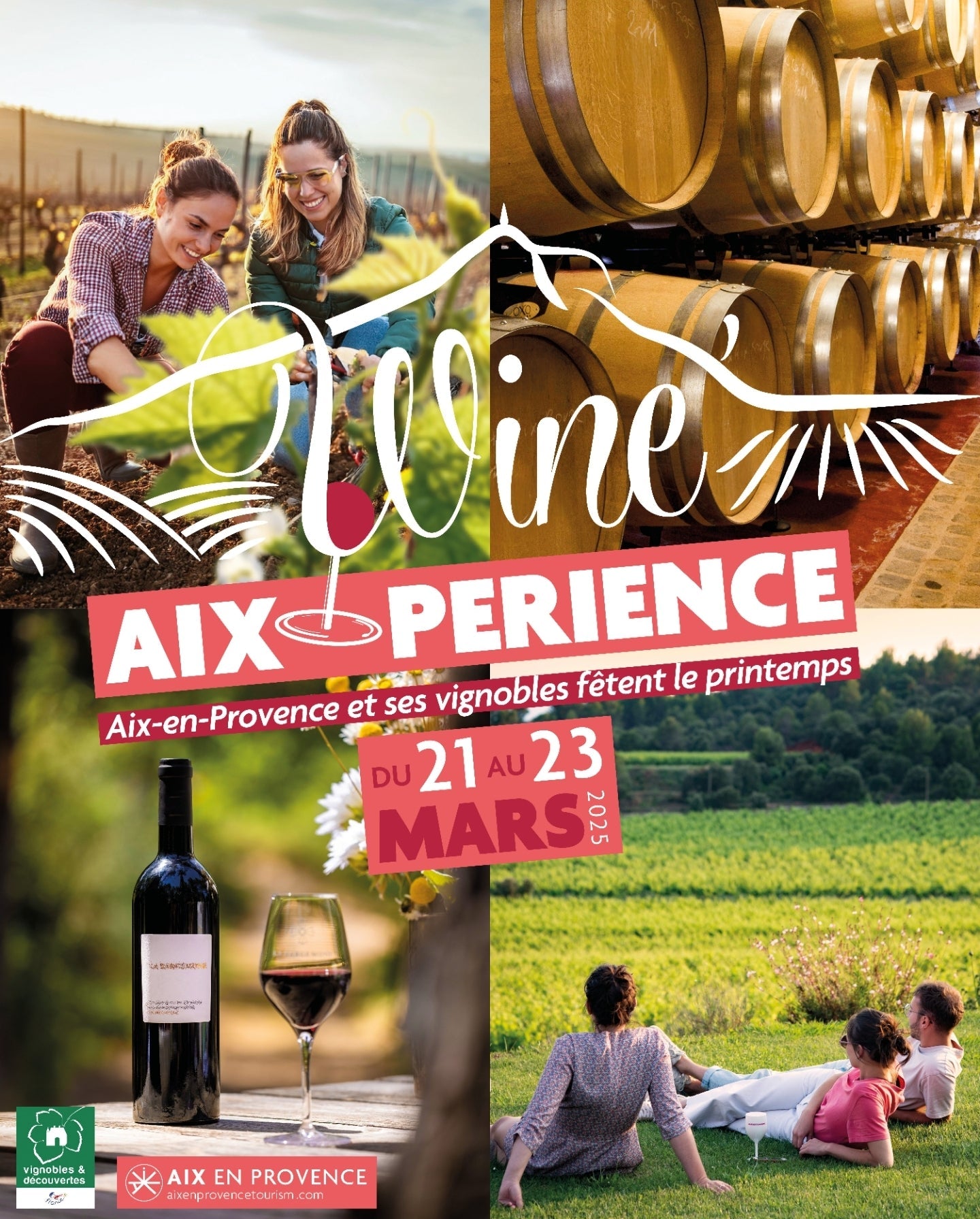 Wine expérience