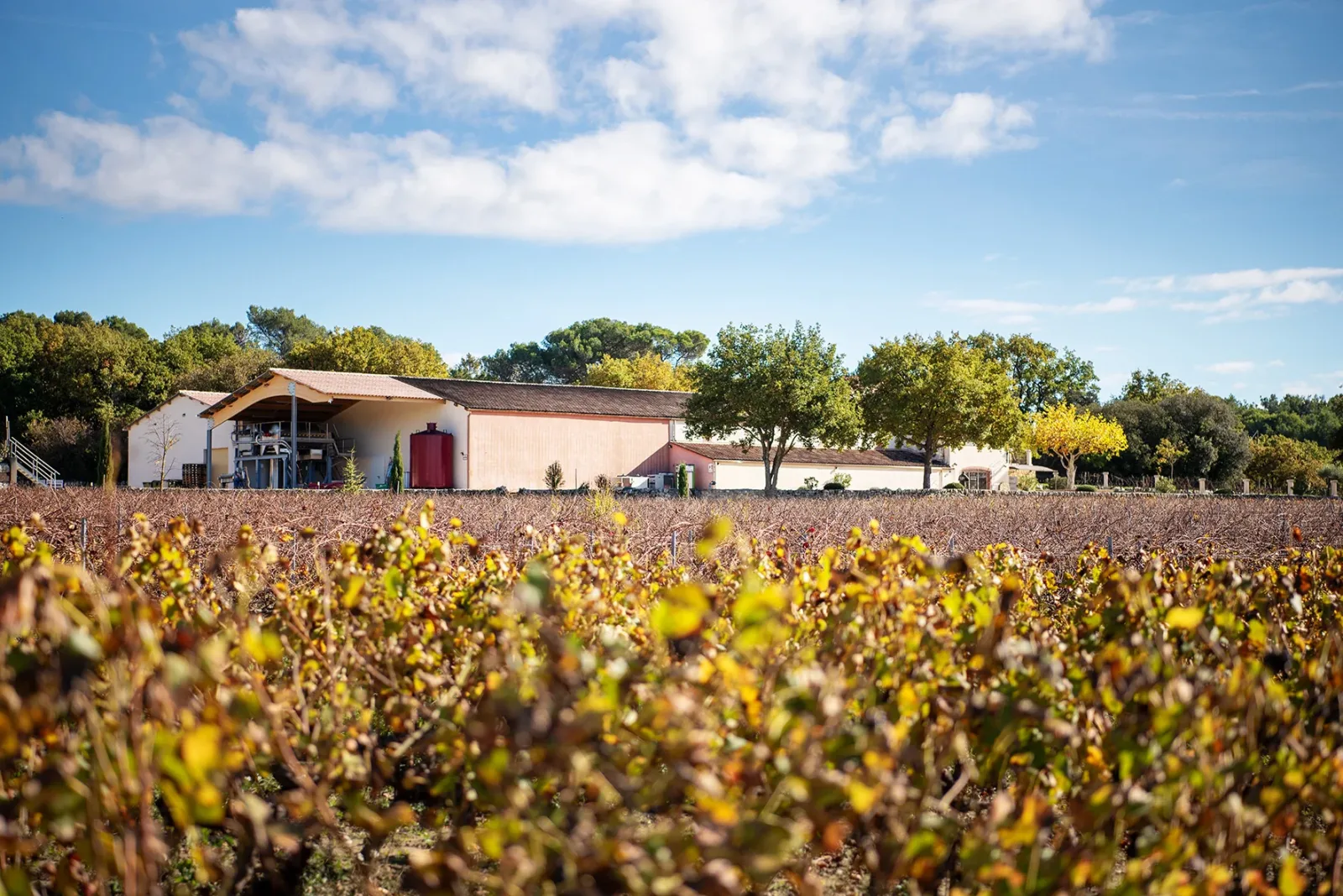 Vignes du Domaine Naïs et bâtiment de la cave au cœur de la Provence